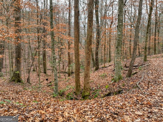 0 Spruill Drive, Ellijay, GA 30536