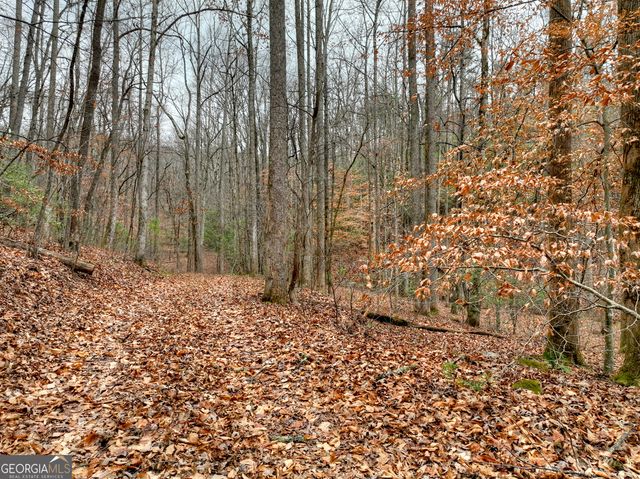 0 Spruill Drive, Ellijay, GA 30536