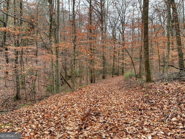 0 Spruill Drive, Ellijay, GA 30536