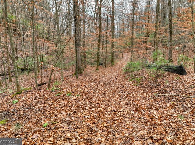 0 Spruill Drive, Ellijay, GA 30536