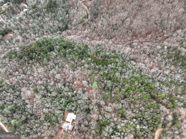 0 Spruill Drive, Ellijay, GA 30536