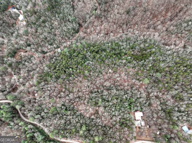 0 Spruill Drive, Ellijay, GA 30536