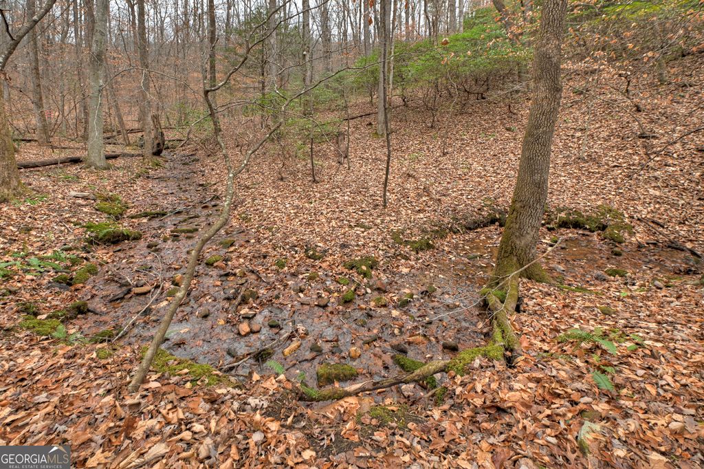 0 Spruill Drive, Ellijay, GA 30536