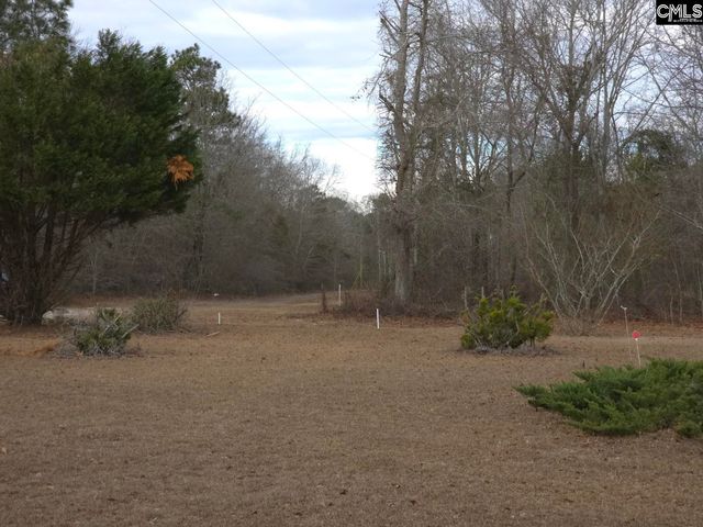 307 Tom Adams Road, Leesville, SC 29070