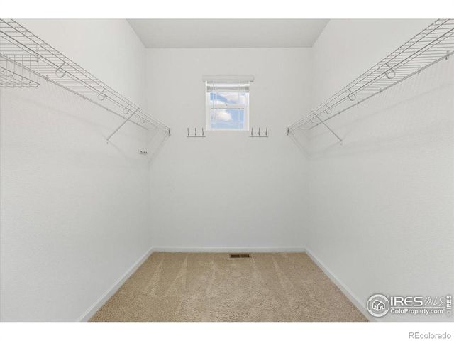 1602 Dancing Cattail Drive, Fort Collins, CO 80528