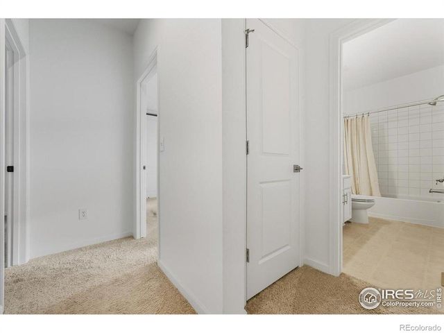 1602 Dancing Cattail Drive, Fort Collins, CO 80528