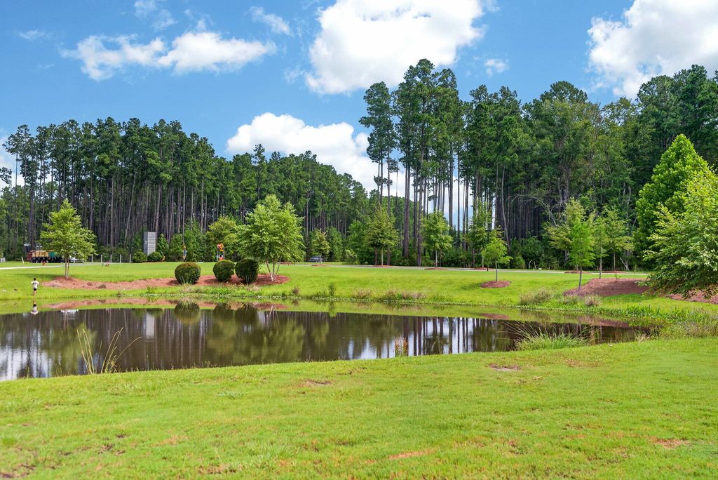Image 32 of property listing at 141 Trailview Lane, Summerville, SC 29486