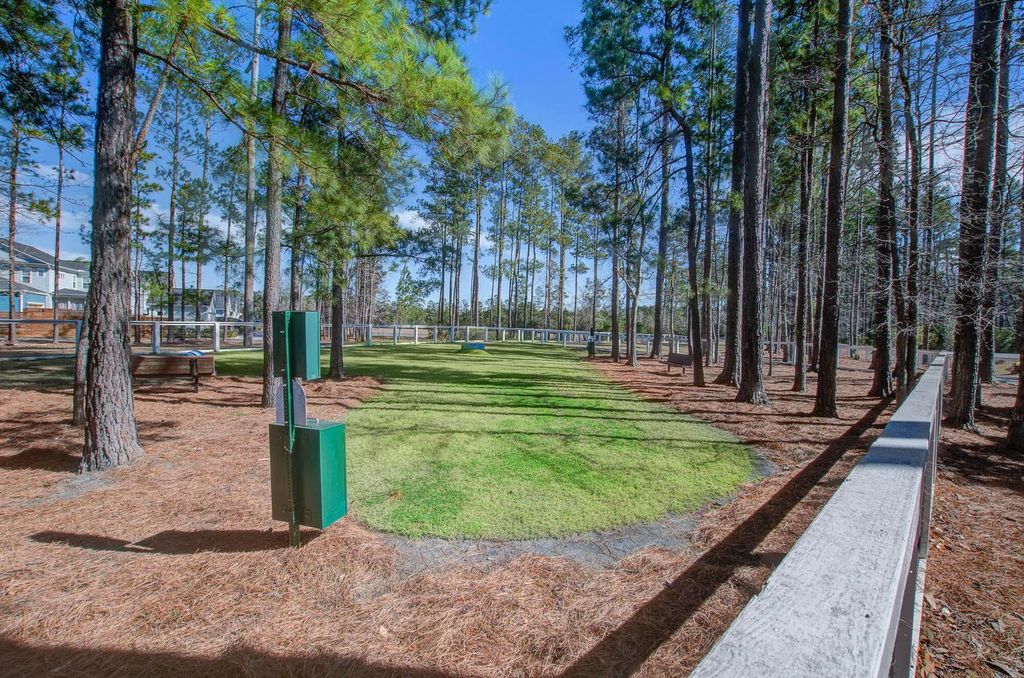 Image 33 of property listing at 141 Trailview Lane, Summerville, SC 29486