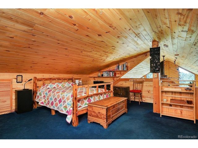 1111 Red Feather Rd, Cotopaxi, CO 81223