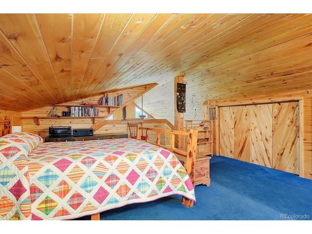 1111 Red Feather Rd, Cotopaxi, CO 81223