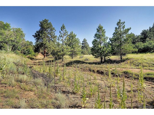 1111 Red Feather Rd, Cotopaxi, CO 81223