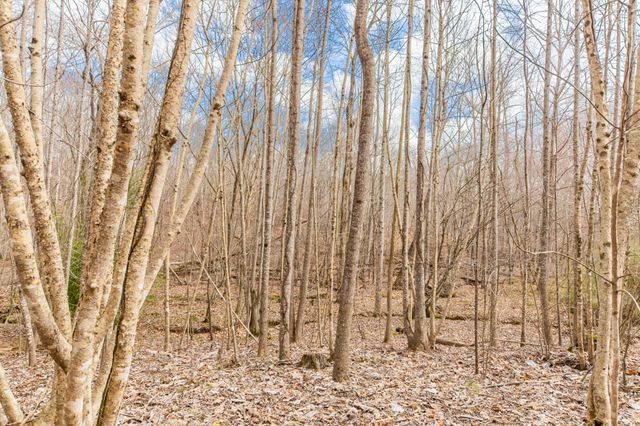 0 Busby Rd, Loretto, TN 38469