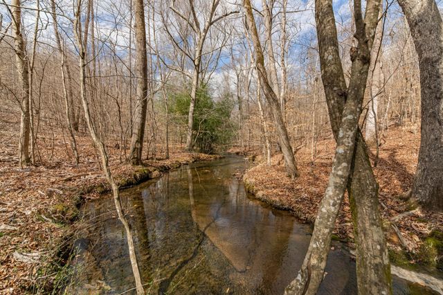 0 Busby Rd, Loretto, TN 38469