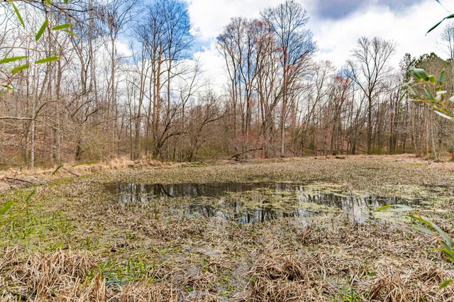 0 Busby Rd, Loretto, TN 38469