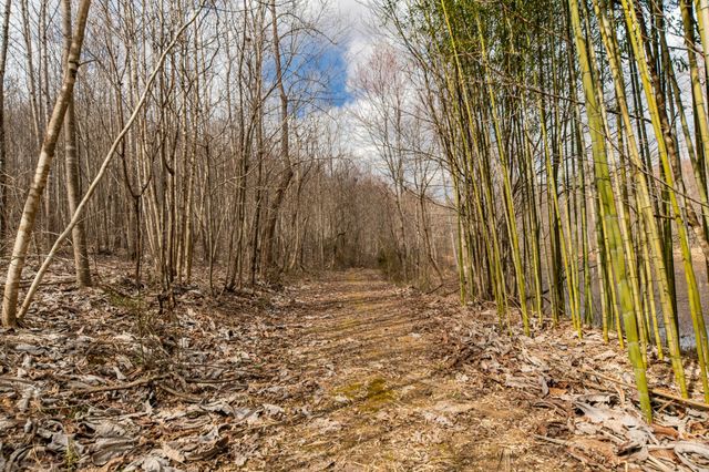 0 Busby Rd, Loretto, TN 38469