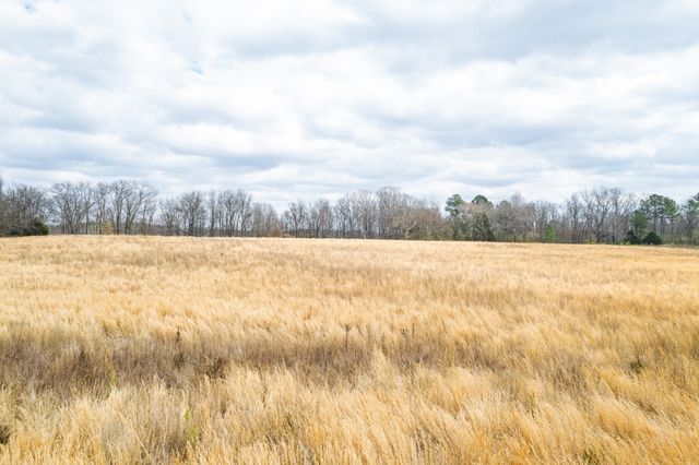 0 Busby Rd, Loretto, TN 38469