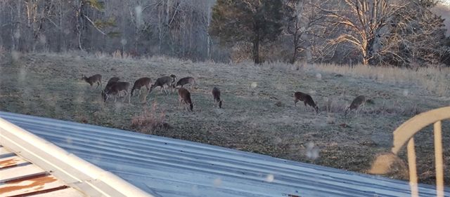 0 Busby Rd, Loretto, TN 38469