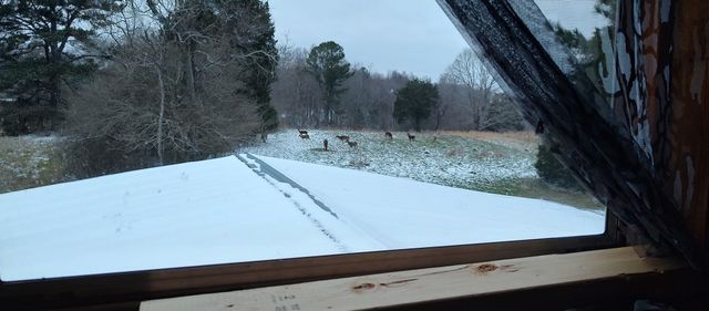 0 Busby Rd, Loretto, TN 38469