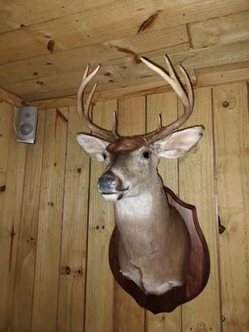 0 Busby Rd, Loretto, TN 38469