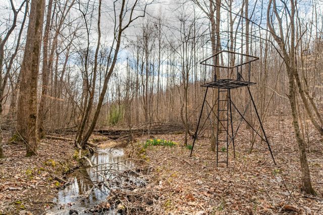 0 Busby Rd, Loretto, TN 38469