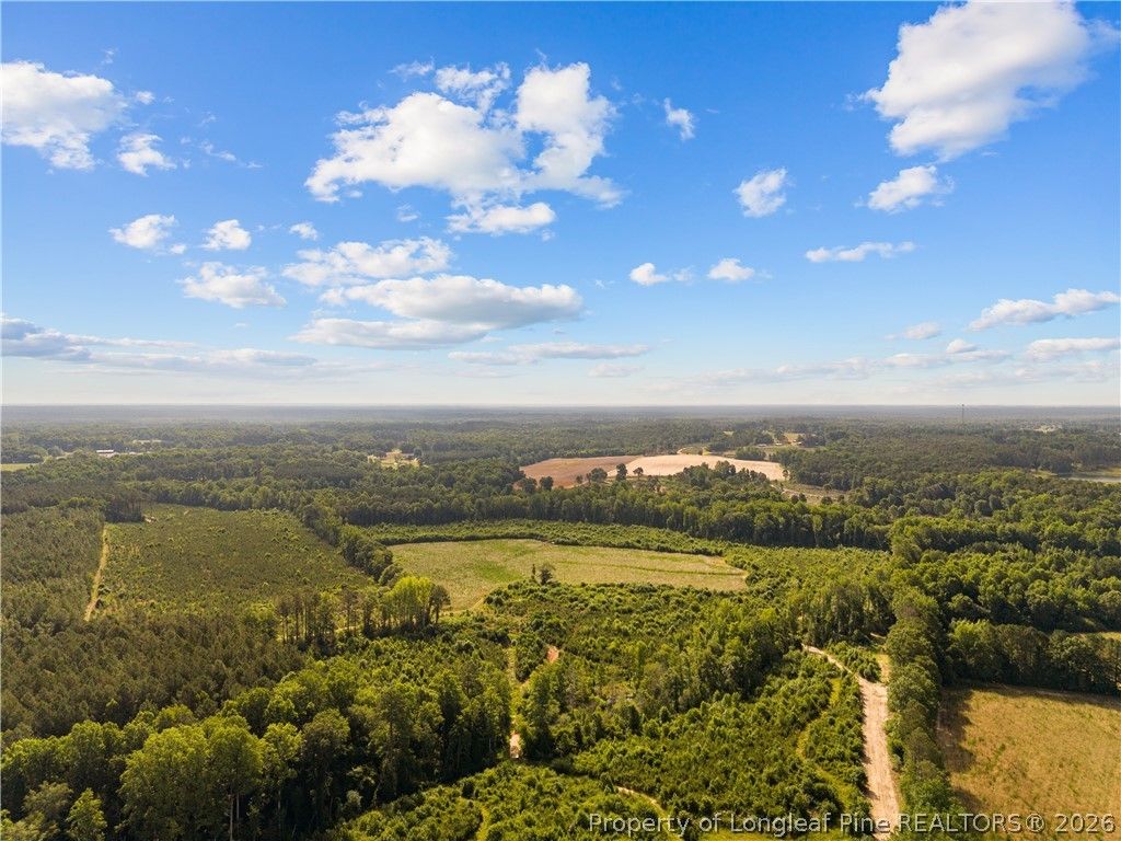 Leaflet Church Road, Lillington, NC 27546 — photo 15