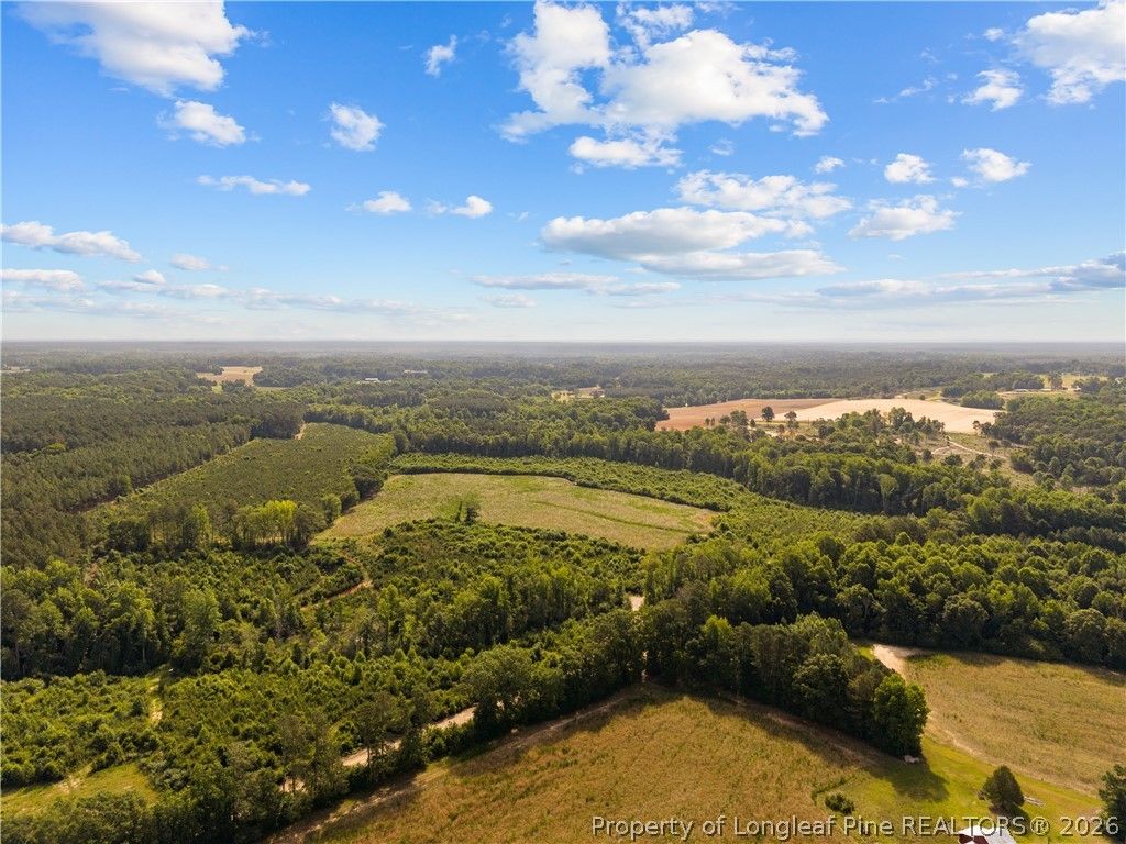 Leaflet Church Road, Lillington, NC 27546 — photo 17