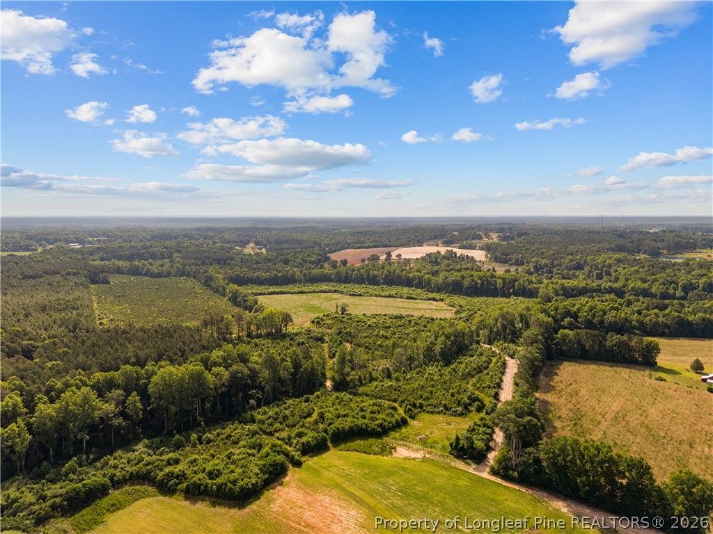 Leaflet Church Road, Lillington, NC 27546 — photo 2