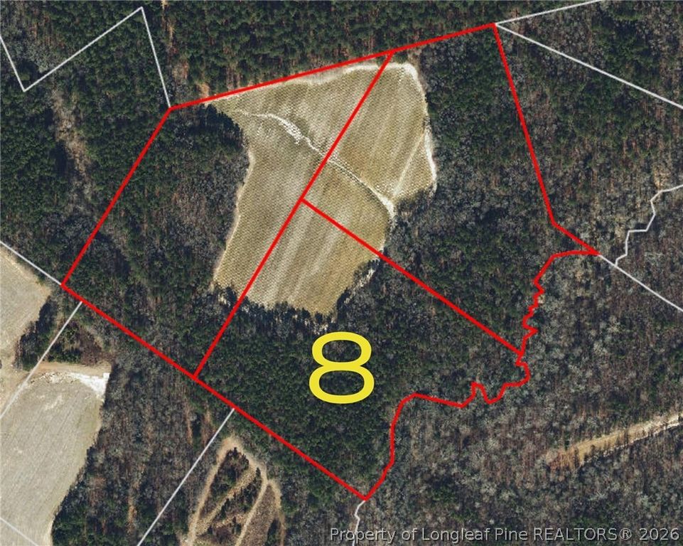 Leaflet Church Road, Lillington, NC 27546 — photo 20