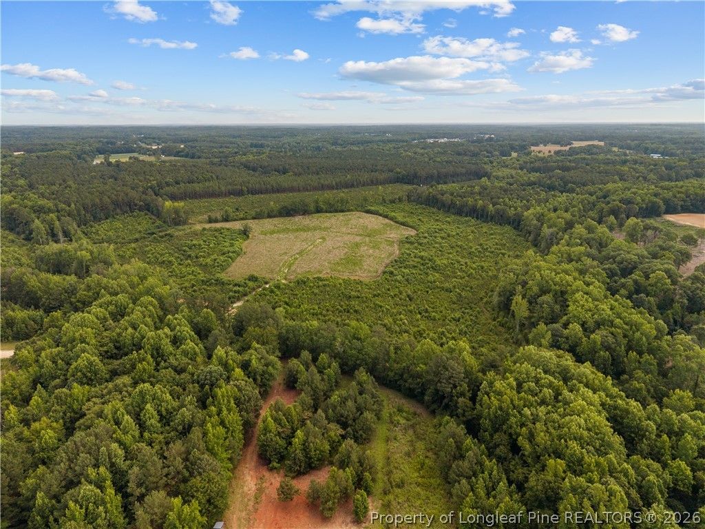 Leaflet Church Road, Lillington, NC 27546 — photo 3