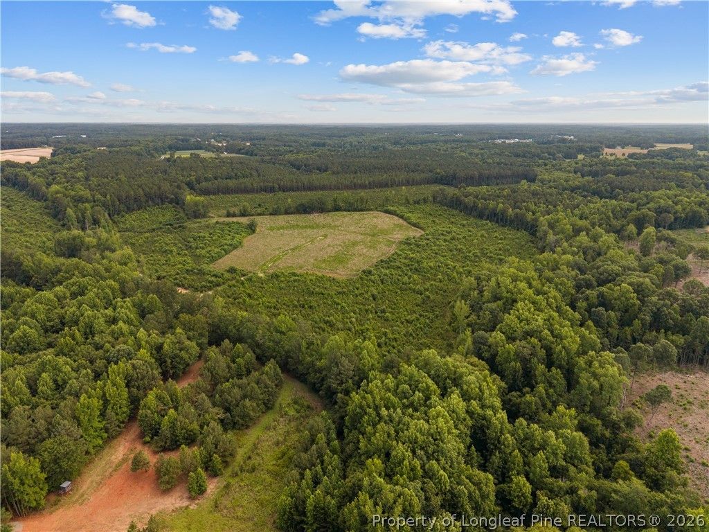 Leaflet Church Road, Lillington, NC 27546 — photo 4