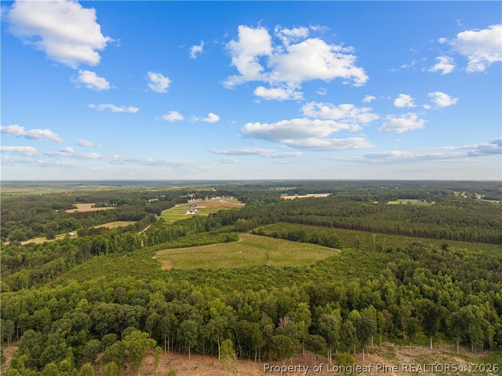 Leaflet Church Road, Lillington, NC 27546 — photo 7