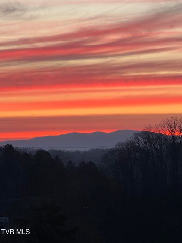 1195 Panoramic Vista, Johnson City, TN 37615