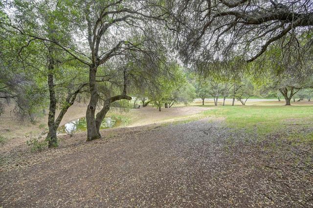 4860 Silk Tree Ln, Cool, CA 95614