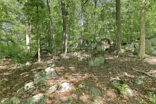 93 Wild Rose Lane, Pittsboro, NC 27312
