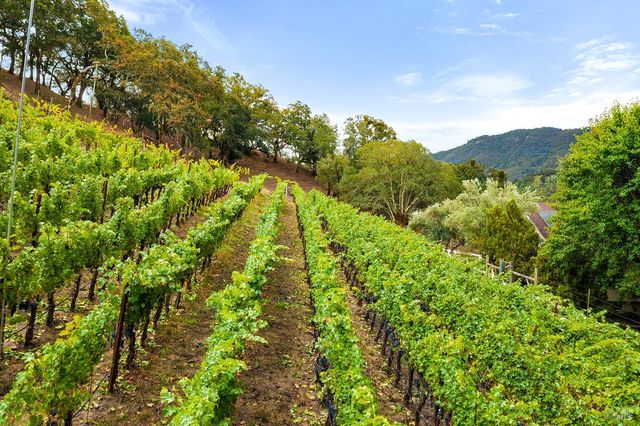 2550 Warm Springs Rd, Glen Ellen, CA 95442