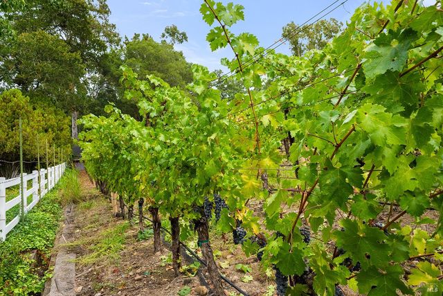 2550 Warm Springs Rd, Glen Ellen, CA 95442