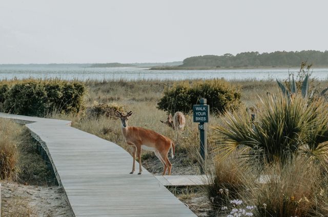 1391 Pelican Watch Villas, Seabrook Island, SC 29455
