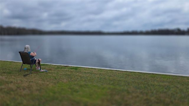 252 PINEWOOD DRIVE, Eustis, FL 32726