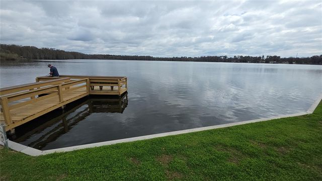 252 PINEWOOD DRIVE, Eustis, FL 32726