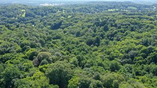 0 Strawberry Gables, Holladay, TN 38341