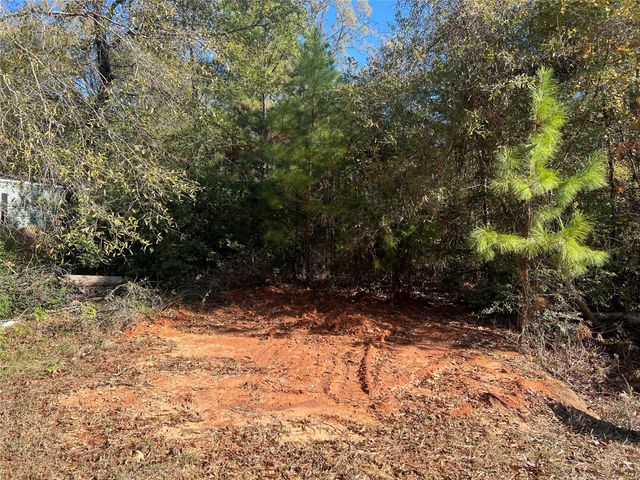 126 Moonlite Drive, Livingston, TX 77351