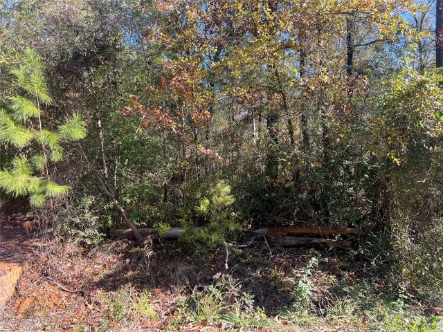 126 Moonlite Drive, Livingston, TX 77351