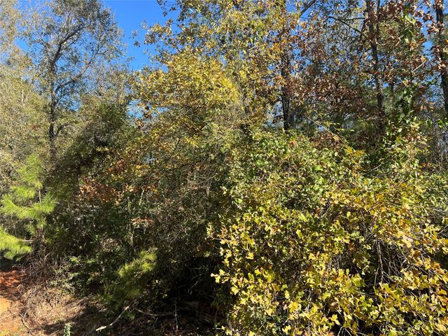 126 Moonlite Drive, Livingston, TX 77351