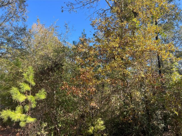 126 Moonlite Drive, Livingston, TX 77351