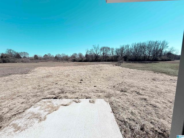 131 TUSCALOOSA PIKE, Cleveland, AL 35049