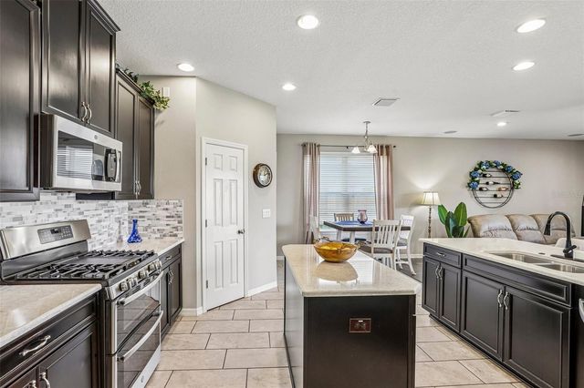 17628 BRIGHT WHEAT DRIVE, Lithia, FL 33547