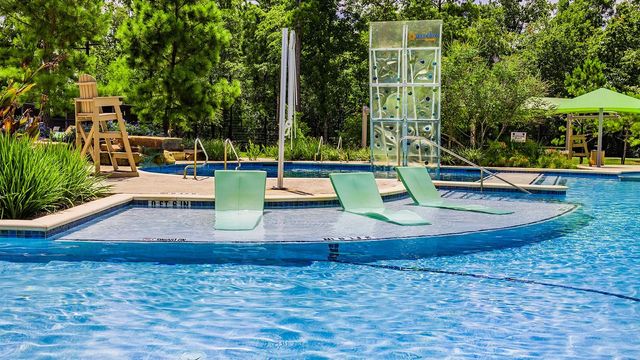 211 Evening Tide Way, Willis, TX 77318