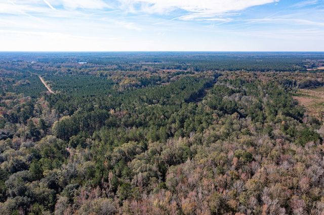 1 Dennis Britt Road, Saint George, SC 29477