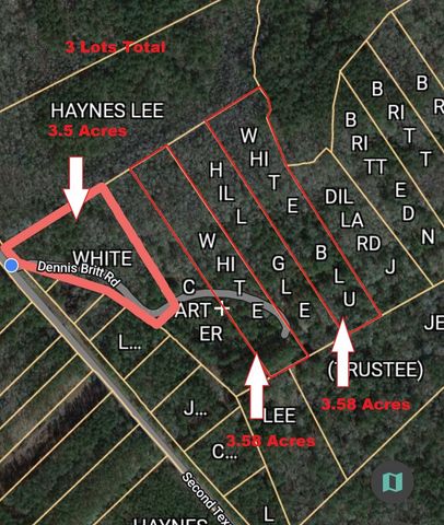 1 Dennis Britt Road, Saint George, SC 29477