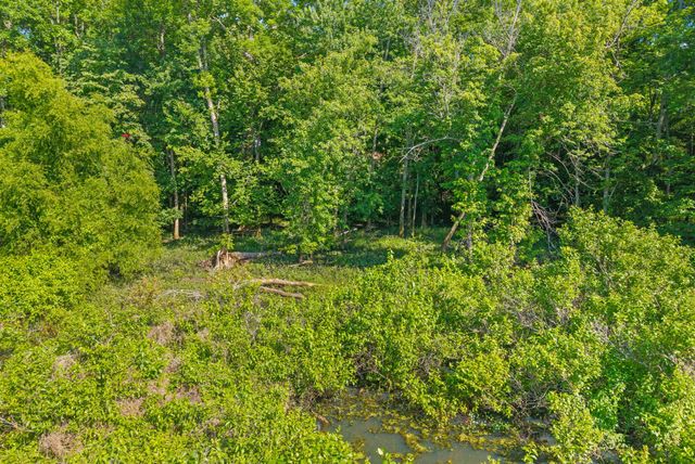 324 Bayview Drive, Bumpus Mills, TN 37028